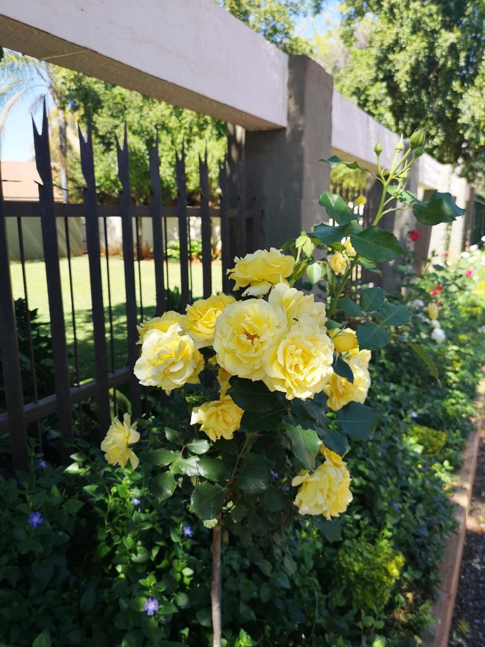 Aaa Rose Garden Guesthouse Mookgophong Exterior foto