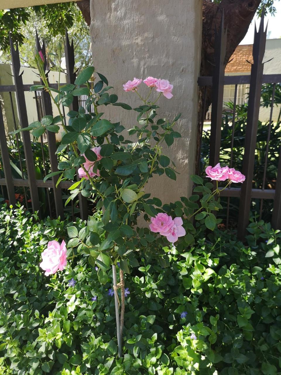 Aaa Rose Garden Guesthouse Mookgophong Exterior foto